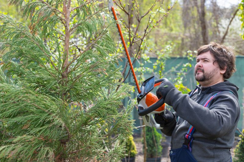 Juniper Pruning