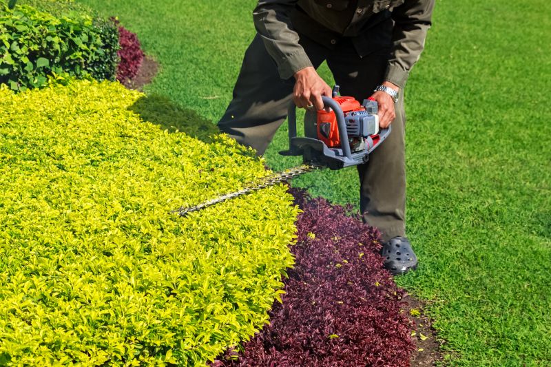 Seasonal Shrub Care