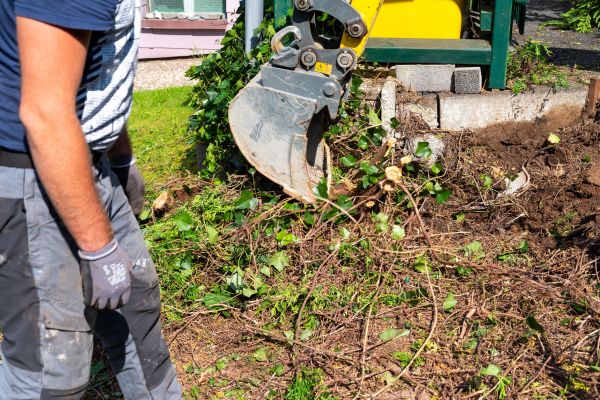 Hedge Removal Service in Indio