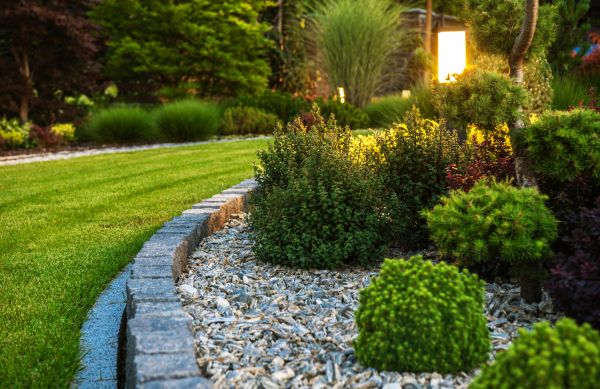 Cost of Bush Relocation in Indio