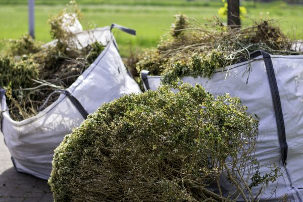 Shrubs Removal in Indio