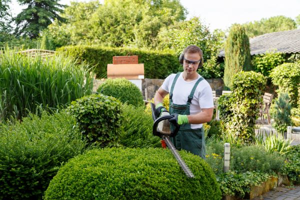 Shrubs Trimming in Indio