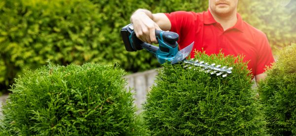 Hedge Shaping Service in Indio